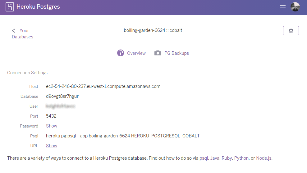 Heroku Postgres connection string